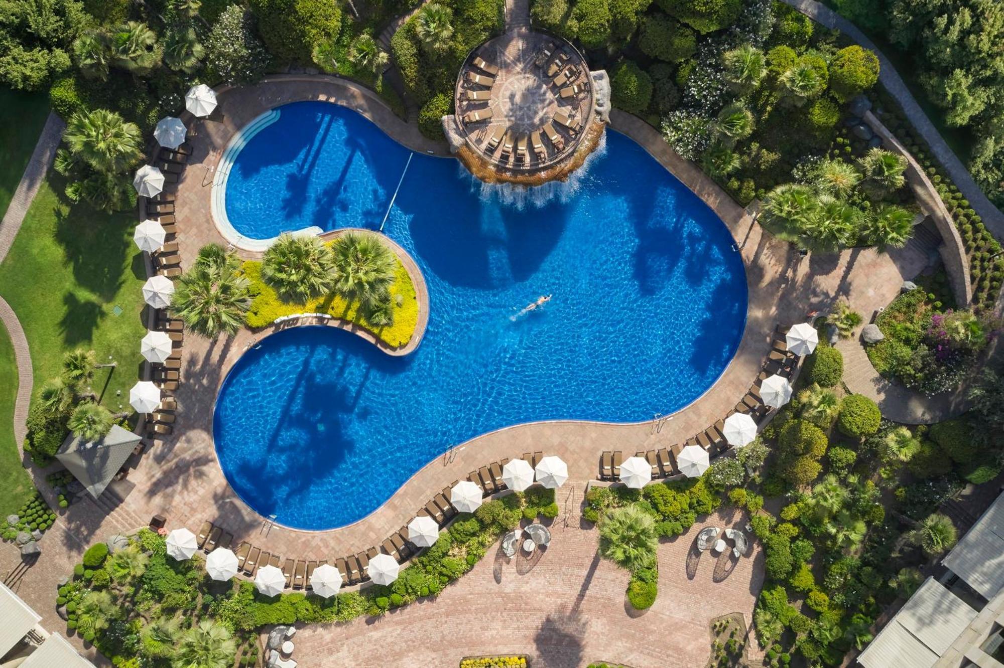 Отель Mandarin Oriental, Сантьяго Экстерьер фото The swimming pool at the hotel